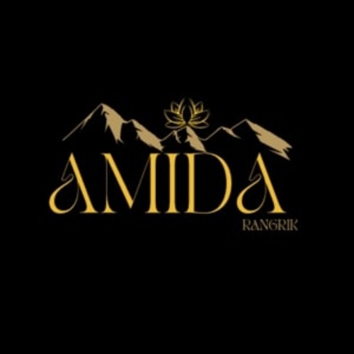 AMIDA logo 500 x 500