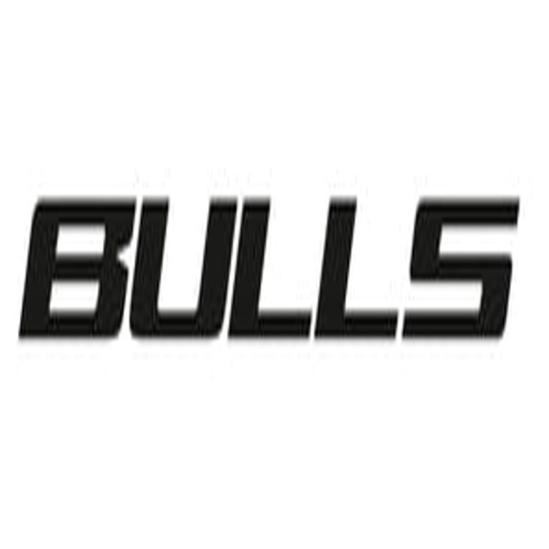 BULLS logo 163x39@2x 1 768x768