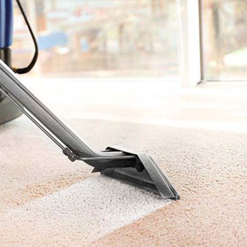 Carpet Steam Cleaning