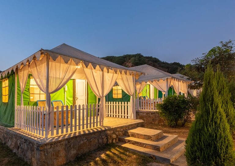 Jungle Tent 1 768x543