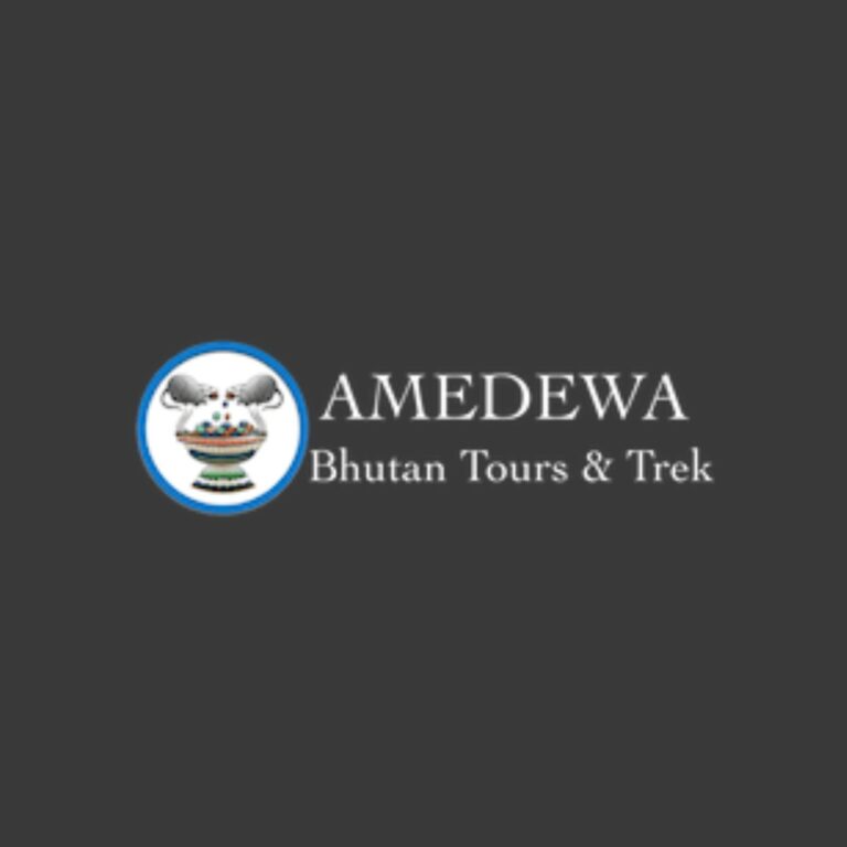 amedewa logo 768x768