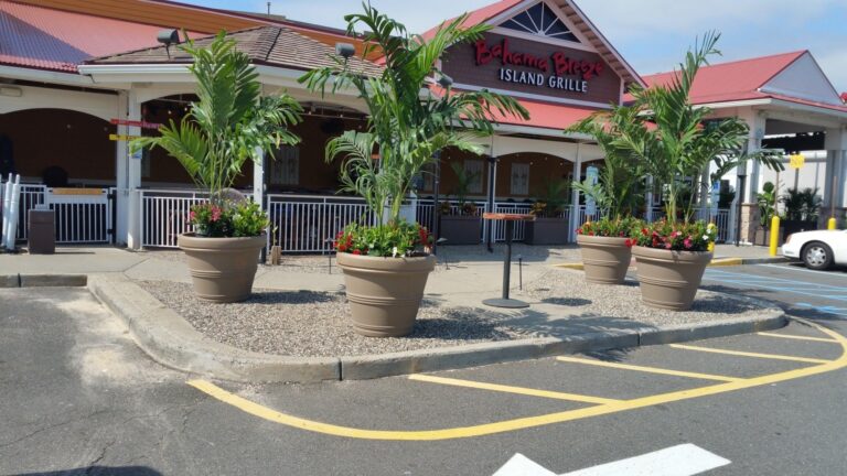 imgi 75 ShadesofGreenOutsidePlantscaping 768x432