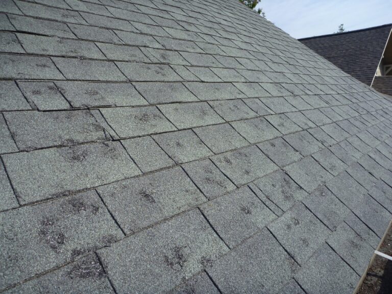 staydryroofing 2 768x576