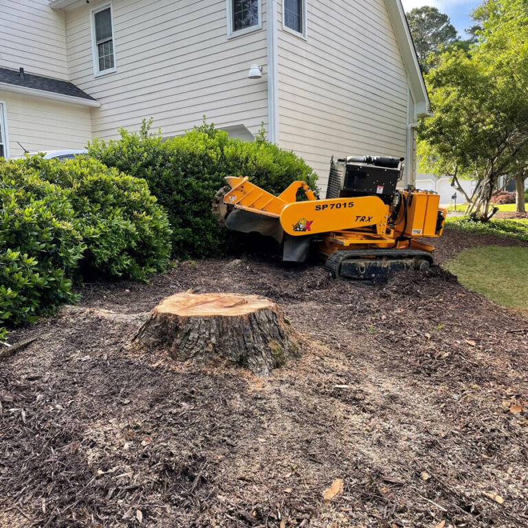 stump grinding canberra 768x768