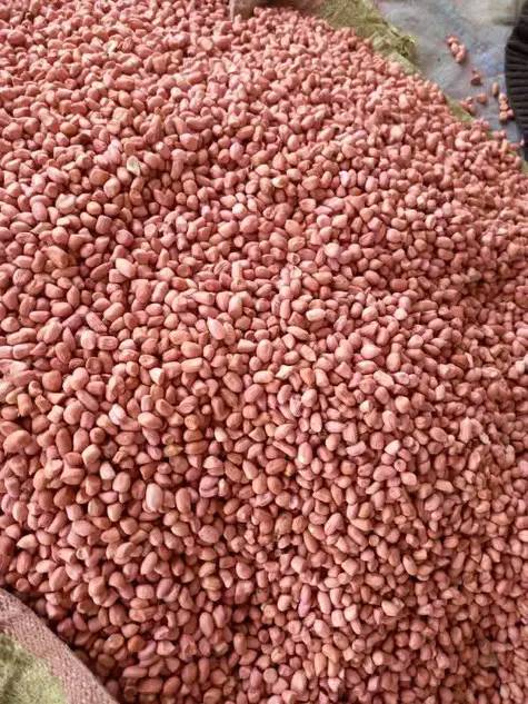 486692203 122108976740805084 3400594200948908249 n