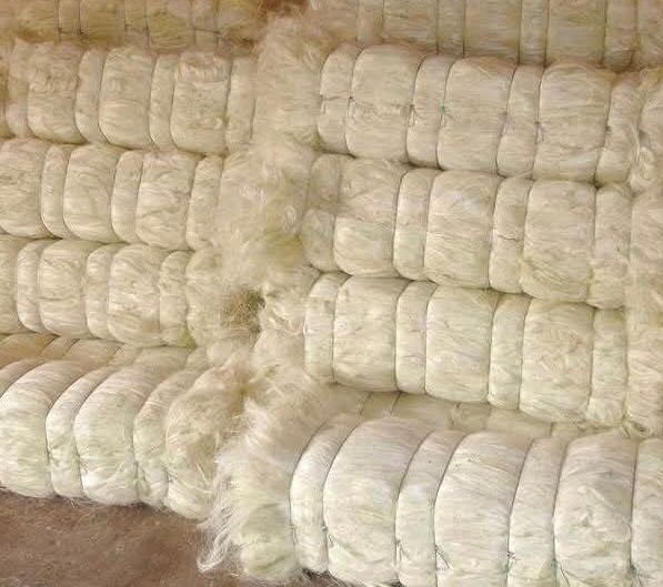 490231171 122113025318805084 2625192793301452515 n 1