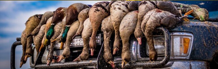 Duck Hunting Lodge AR 768x243