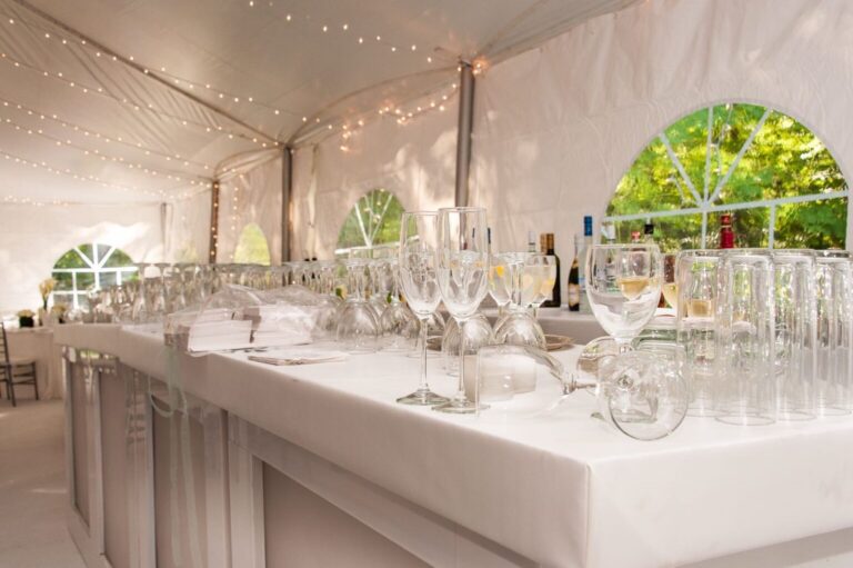 Party Rental Items to Impress Guests 1536x1021 1 768x511