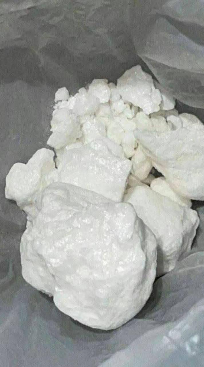 WhatsApp Image 2025 08 19 at 6.06.57 PM1 1