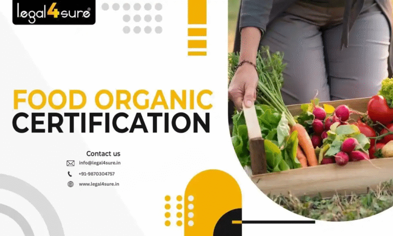 WhatsApp Image 2025 09 13 at 4.49.28 PM 768x461