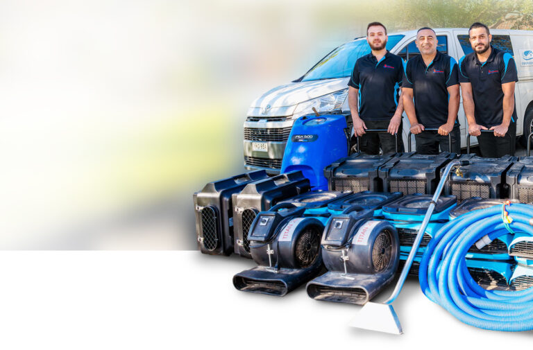 e0cfec11 6db1 4c99 b9f4 d94b4b6de1b7 768x505