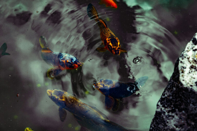 maryam tello SnG52mzrPxw unsplash1 768x512