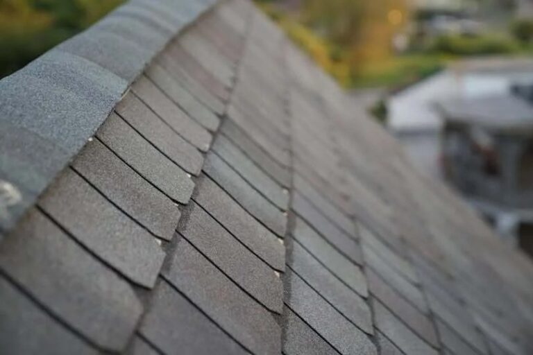 roof restoration 768x512