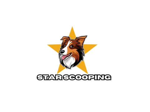 star logo