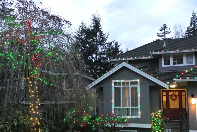 surreychristmaslights 11 768x514