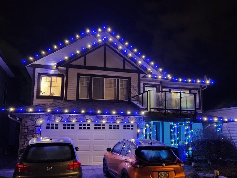 surreychristmaslights 4 768x576