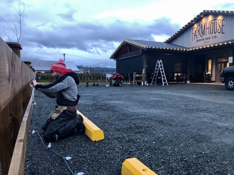 surreychristmaslights 6 768x576