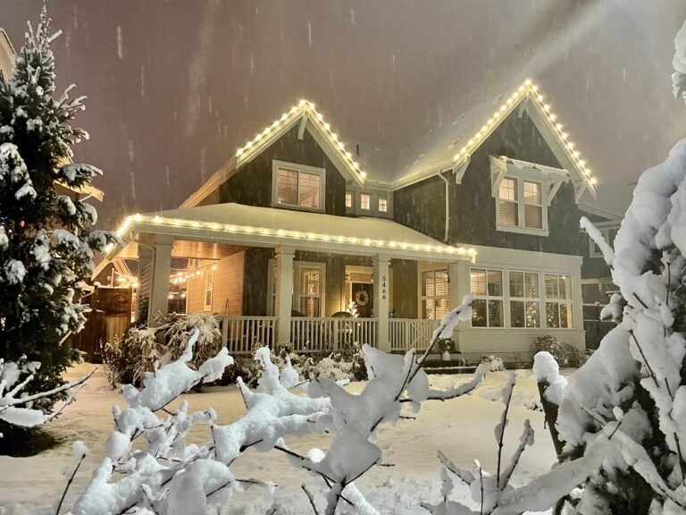 surreychristmaslights 9 768x576