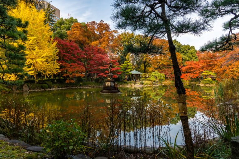 zen garden with autumn colors 768x512