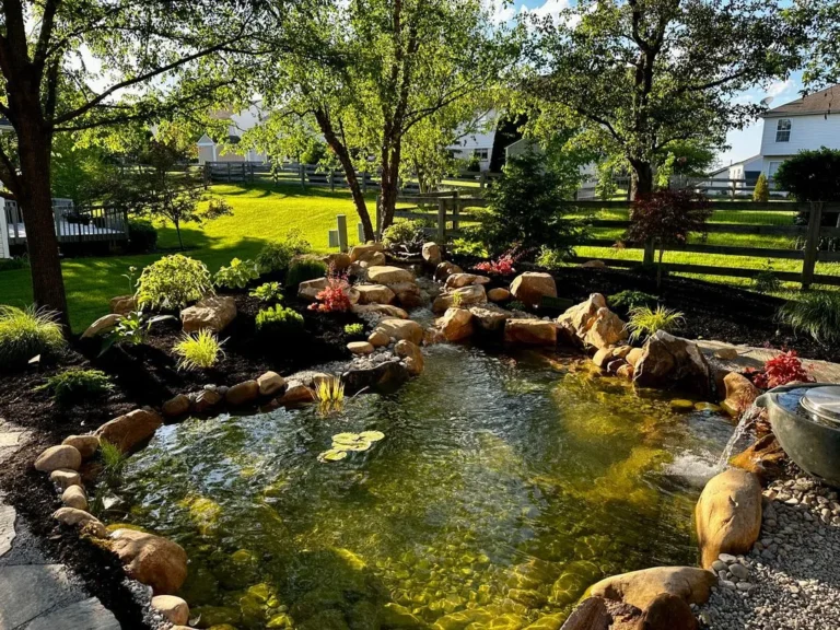 68a3477cf087ddb6fbe96138 IMG 6681 1 768x576