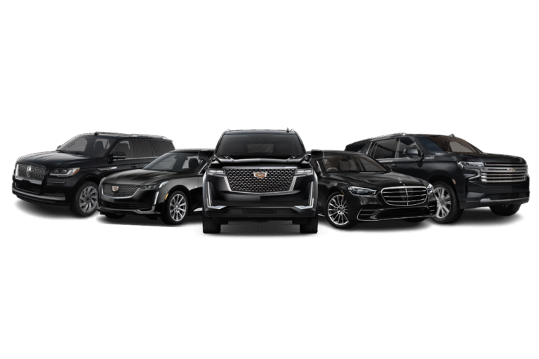 Magical Christmas Light Party Bus in Pittsburgh A Festive Adventure Copy 768x512