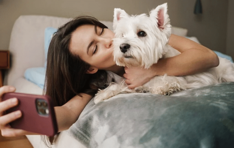 Pet Friendly Accommodation Lake District 1 768x485