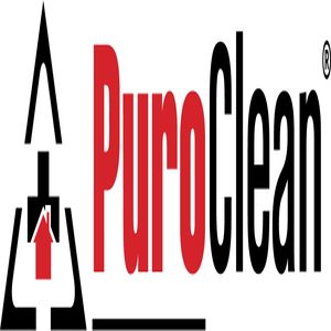 PuroClean Logo Line