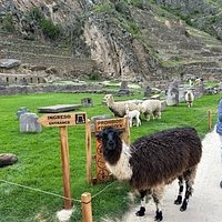 caption 2025 06 18T143656.399