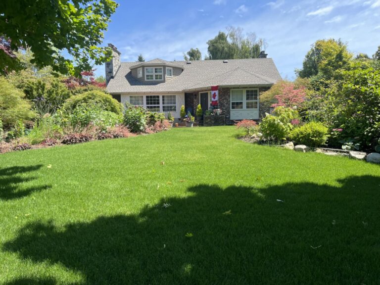 d8724250 e3f3 4da4 aa2b 6f8f350fb94b 768x576