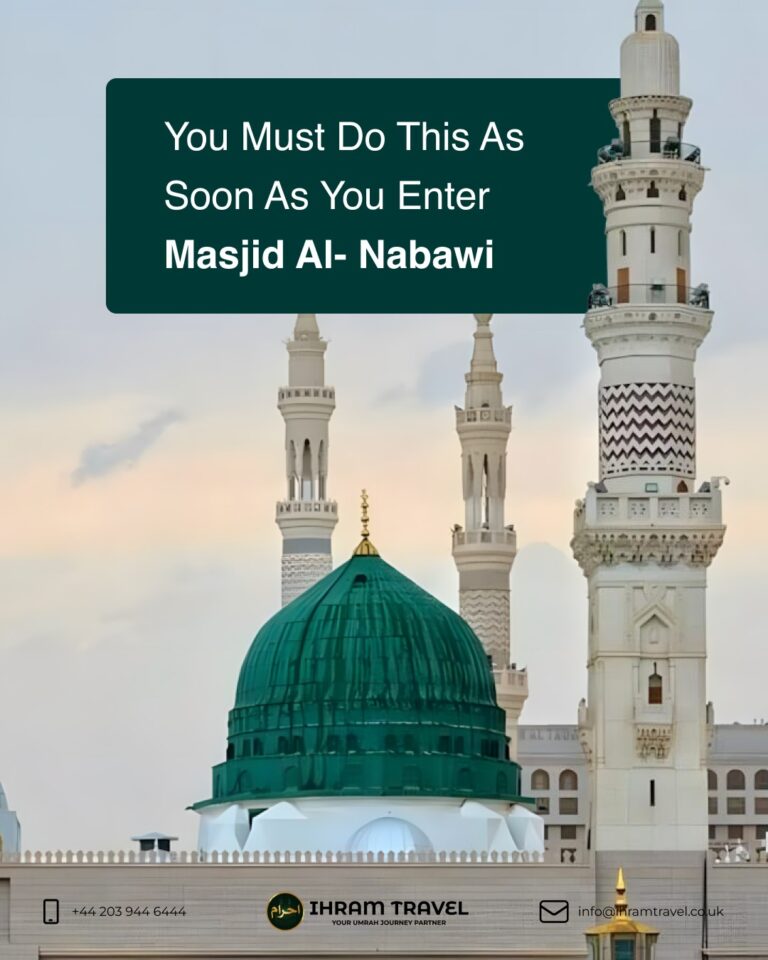 downloadgram.org 557634422 122147742482867245 4116191845746797755 n 768x960