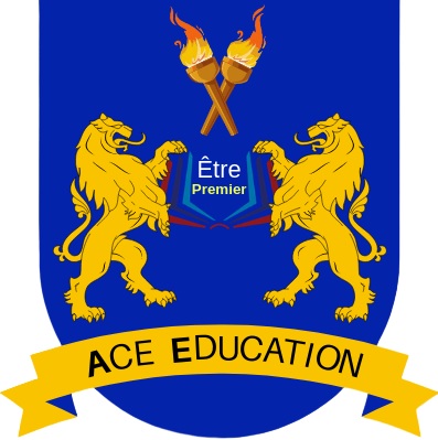 final logo of ace education