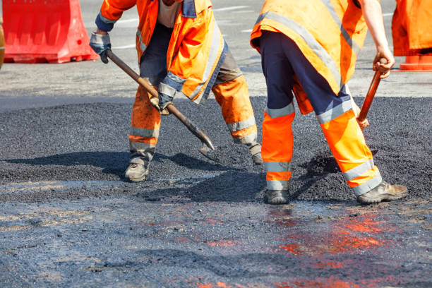 istockphoto 1301646930 612x612 1