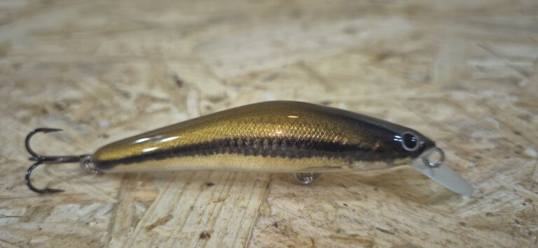 20251101 085353 768x355