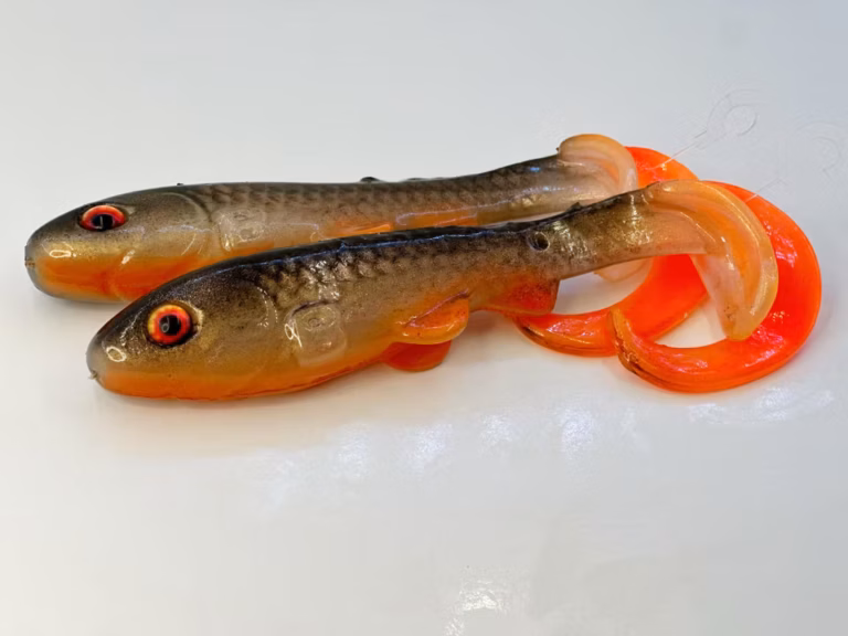 64ea4507d2783 768x576