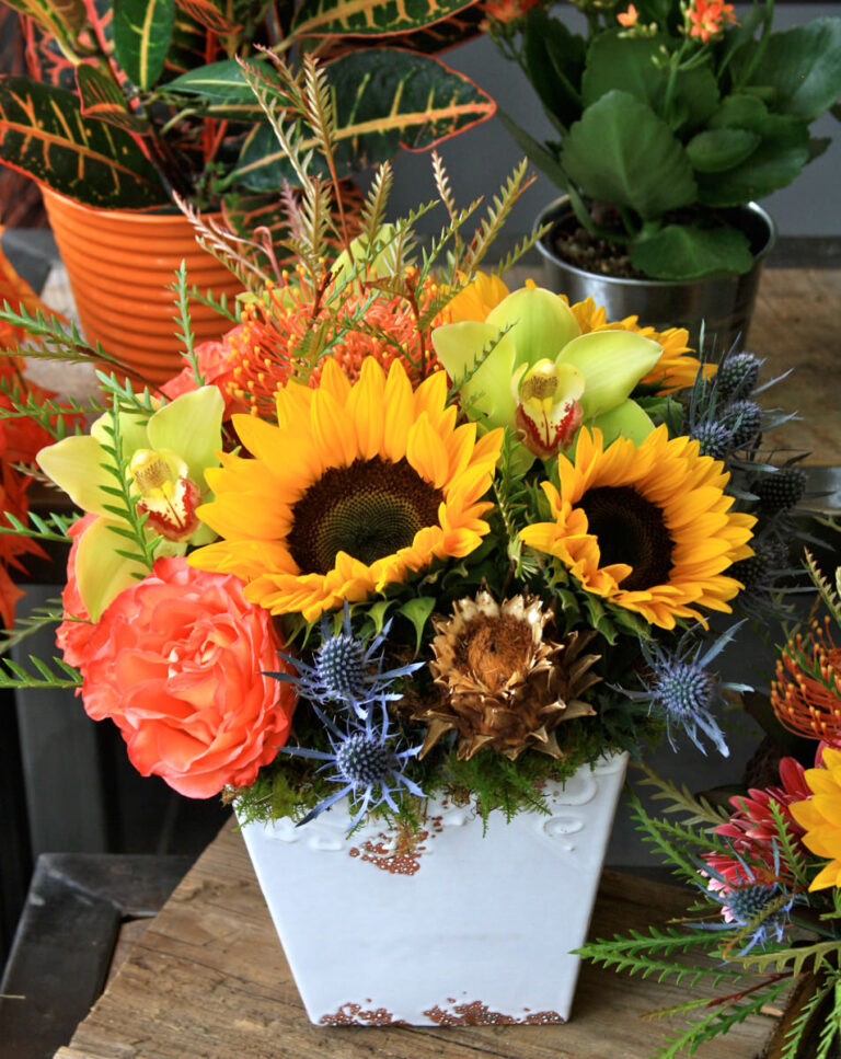 IMG 9881 mini 768x967