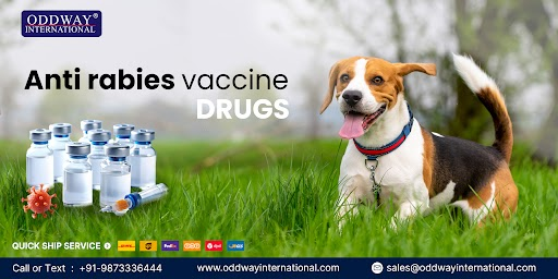 Oddway International Anti Rabies Vaccine Drugs for Dogs Quick Ship Service