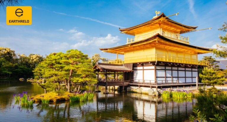 Ship Car Overseas EarthRelo 768x415