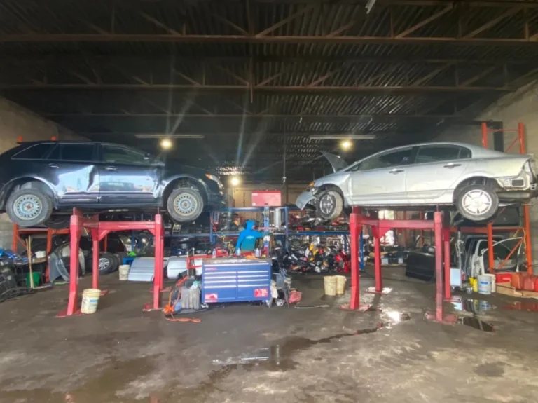 278379982 113951534614161 3786474056233935078 n 768x575