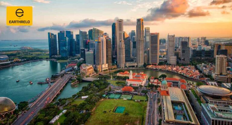 Best Moving Companies EarthRelo 768x415