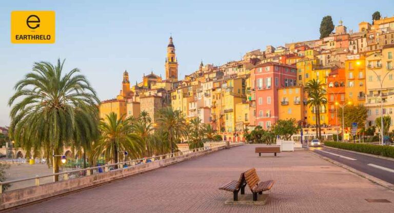 Overseas Moving Company EarthRelo 768x415