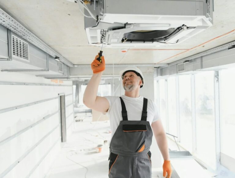 Pinguimvip Cover 2 768x582