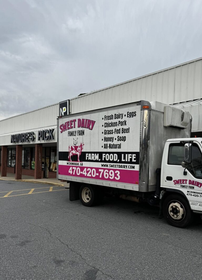 615479585 1484026273676363 5806719023560564331 n 768x1064