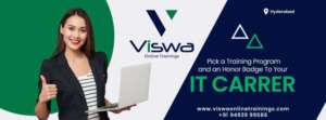 viswaonlinetrainings