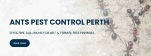 antpestcontrolperth