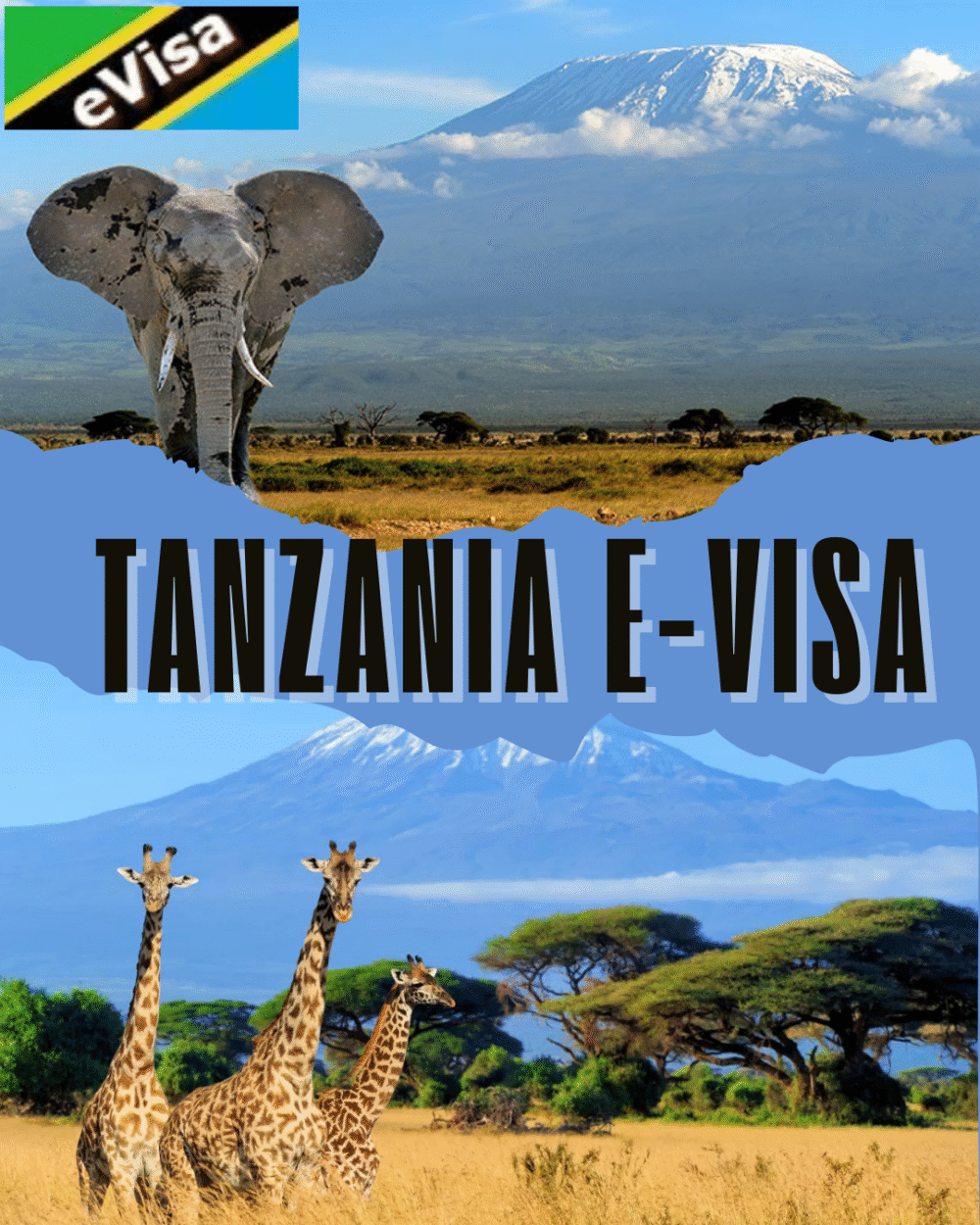 evisatanzania