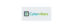 Cybervibers