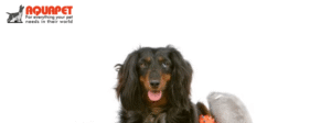 Aquapet
