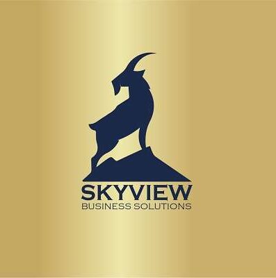 businesssolutionsskyview