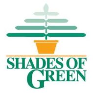 shadesgreen