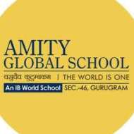 Amity Global School , Gurgaon